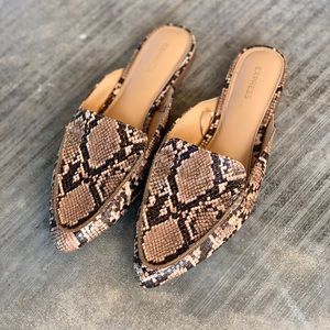 Express Snake Print Slides